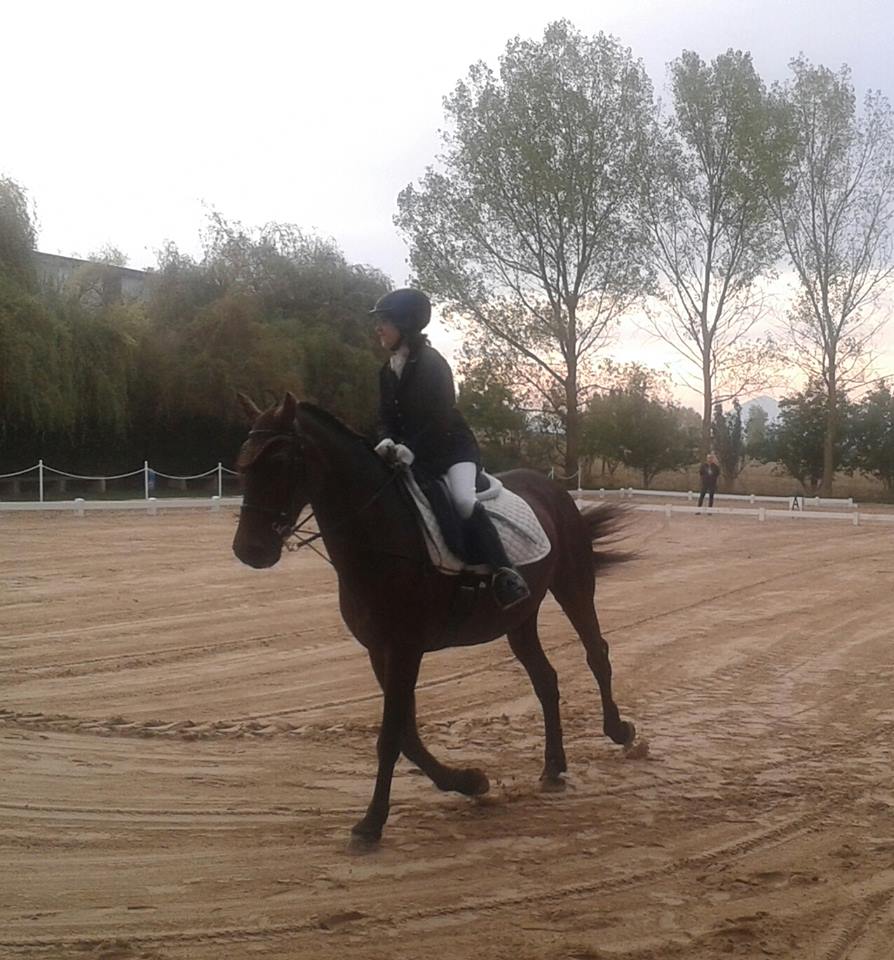 Final Campeonato Navarro Doma Paraecuestre 2016